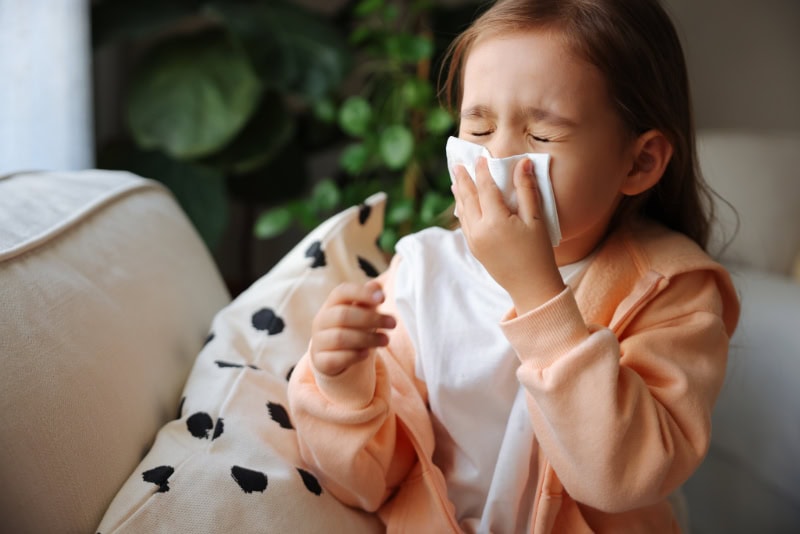 How to Reduce Dust in Your Home