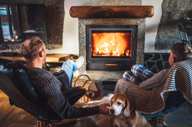 Father with son sitting in comfortable armchairs in their cozy country house near fireplace and enjoying a warm atmosphere and flame moves. Their beagle friend dog sitting beside on white sheepskin.